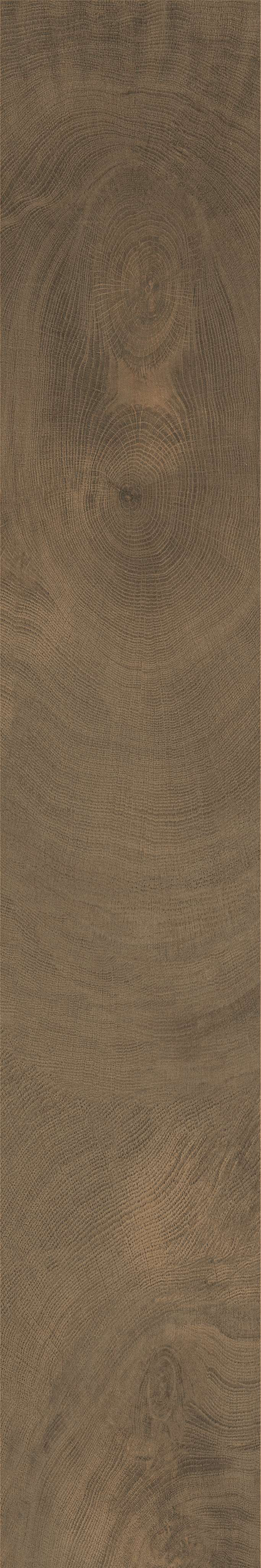 Oxford Smoked Oak