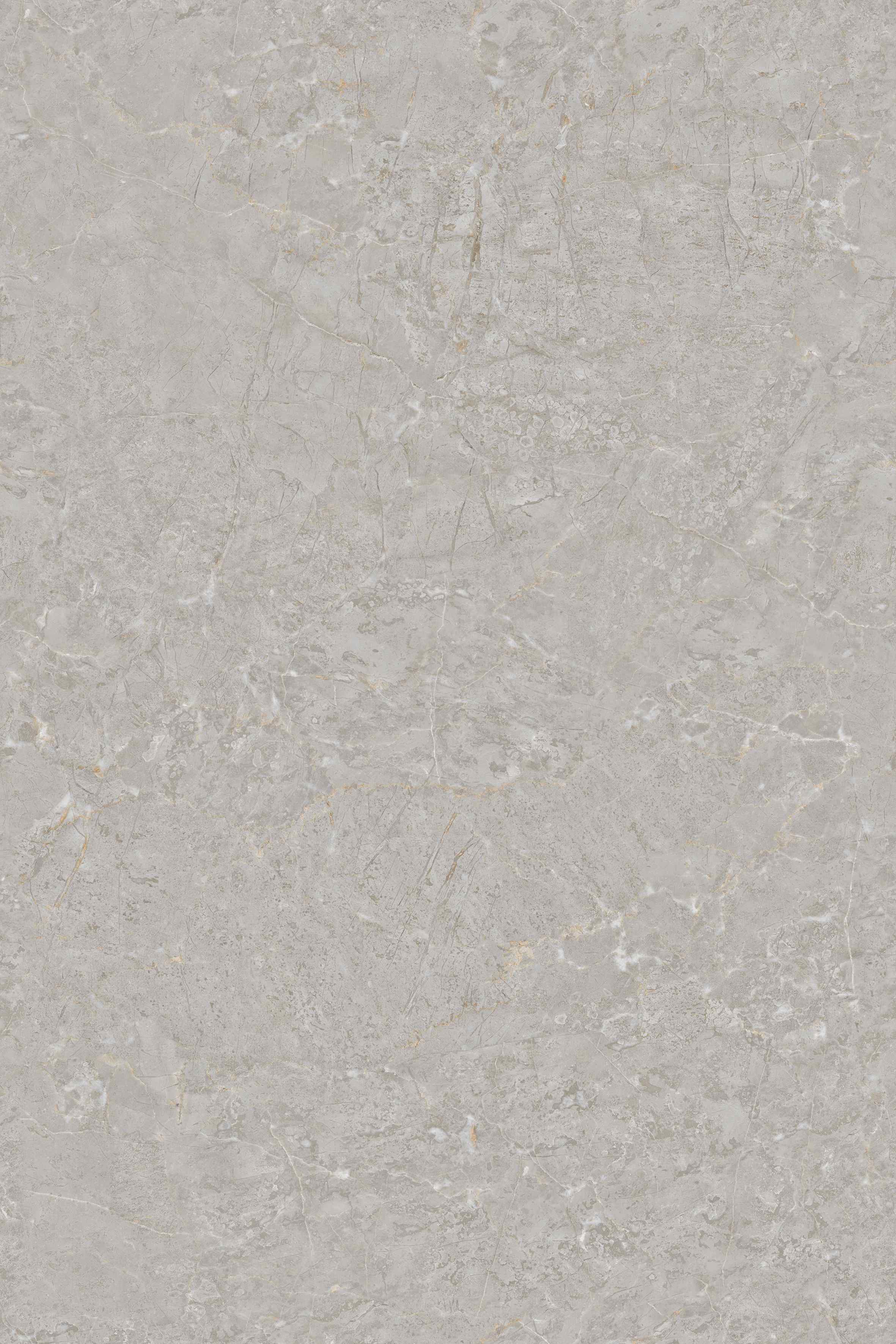BELVE GREY