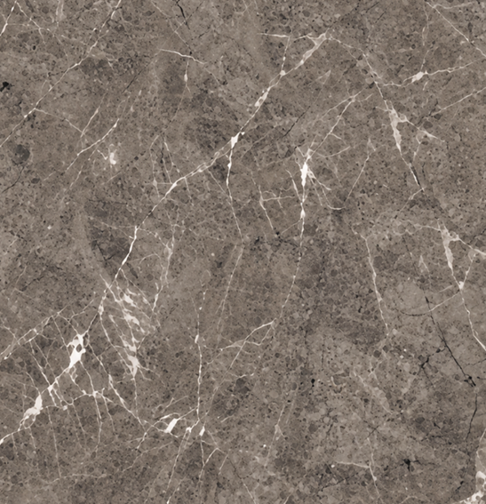 VAINOS FOSSIL