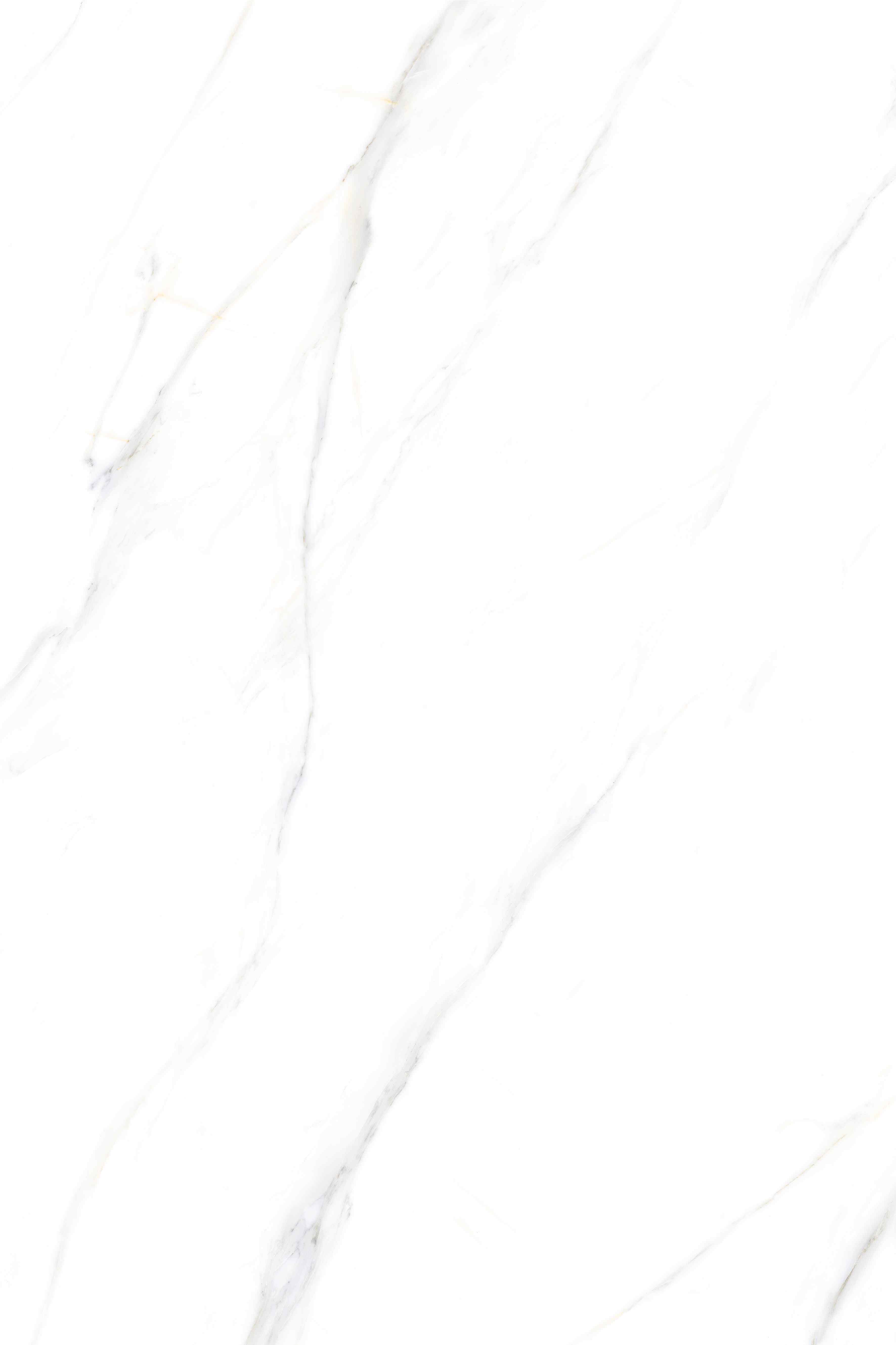 PALIDO WHITE